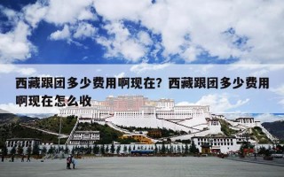 西藏跟团多少费用啊现在？西藏跟团多少费用啊现在怎么收