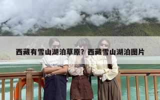 西藏有雪山湖泊草原？西藏雪山湖泊图片