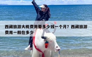 西藏旅游大概费用要多少钱一个月？西藏旅游费用一般在多少