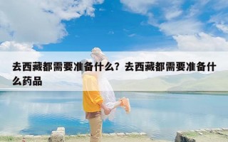 去西藏都需要准备什么？去西藏都需要准备什么药品