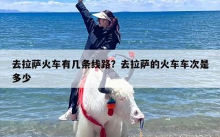 去拉萨火车有几条线路？去拉萨的火车车次是多少