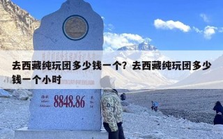 去西藏纯玩团多少钱一个？去西藏纯玩团多少钱一个小时