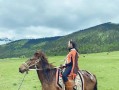 鲁朗镇到林芝多少公里