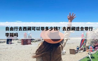 自由行去西藏可以带多少钱？去西藏适合带行李箱吗