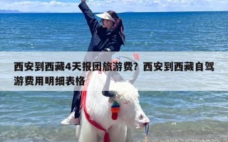 西安到西藏4天报团旅游费？西安到西藏自驾游费用明细表格