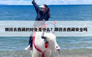 跟团去西藏的好处是什么？跟团去西藏安全吗