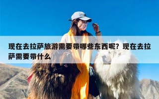 现在去拉萨旅游需要带哪些东西呢？现在去拉萨需要带什么