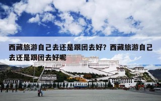 西藏旅游自己去还是跟团去好？西藏旅游自己去还是跟团去好呢
