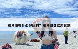 然乌湖有什么好玩的？然乌湖自驾游营地