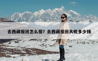 去西藏报团怎么报？去西藏报团大概多少钱