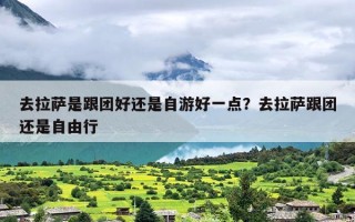 去拉萨是跟团好还是自游好一点？去拉萨跟团还是自由行