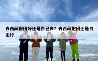 去西藏报团好还是自己去？去西藏抱团还是自由行