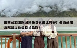 去西藏旅游跟团还是自己去比较好？去西藏旅游跟团走还是自己去好?