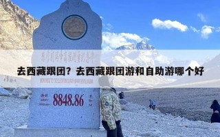 去西藏跟团？去西藏跟团游和自助游哪个好