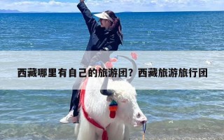 西藏哪里有自己的旅游团？西藏旅游旅行团