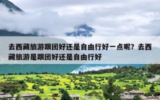 去西藏旅游跟团好还是自由行好一点呢？去西藏旅游是跟团好还是自由行好