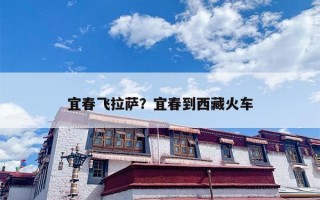 宜春飞拉萨？宜春到西藏火车