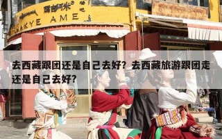 去西藏跟团还是自己去好？去西藏旅游跟团走还是自己去好?