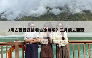 3月去西藏还能看古冰川嘛？三月底去西藏