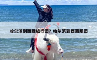 哈尔滨到西藏旅行团？哈尔滨到西藏跟团