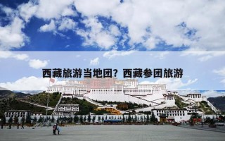 西藏旅游当地团？西藏参团旅游