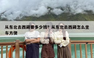 从东北去西藏要多少钱？从东北去西藏怎么坐车方便