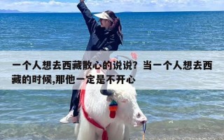 一个人想去西藏散心的说说？当一个人想去西藏的时候,那他一定是不开心