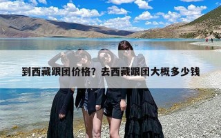 到西藏跟团价格？去西藏跟团大概多少钱