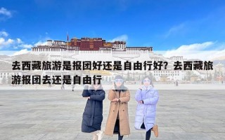 去西藏旅游是报团好还是自由行好？去西藏旅游报团去还是自由行