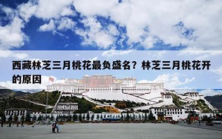 西藏林芝三月桃花最负盛名？林芝三月桃花开的原因