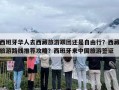 西班牙华人去西藏旅游跟团还是自由行？西藏旅游路线推荐攻略？西班牙来中国旅游签证