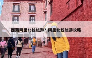 西藏阿里北线旅游？阿里北线旅游攻略