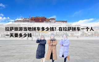 拉萨旅游当地拼车多少钱？在拉萨拼车一个人一天要多少钱