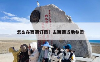 怎么在西藏订团？去西藏当地参团