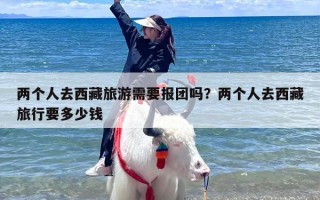 两个人去西藏旅游需要报团吗？两个人去西藏旅行要多少钱