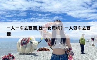 一人一车去西藏,找一女司机？一人驾车去西藏