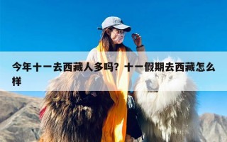今年十一去西藏人多吗？十一假期去西藏怎么样
