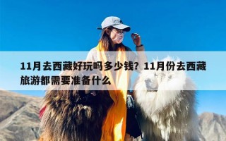 11月去西藏好玩吗多少钱？11月份去西藏旅游都需要准备什么