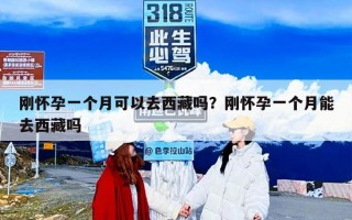 刚怀孕一个月可以去西藏吗？刚怀孕一个月能去西藏吗