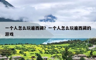 一个人怎么玩遍西藏？一个人怎么玩遍西藏的游戏