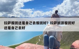 拉萨报团还是自己去报团好？拉萨旅游报团好还是自己去好