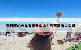 到西藏的火车有哪些车次？到西藏有火车吗