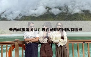 去西藏旅游团队？去西藏旅游团队有哪些