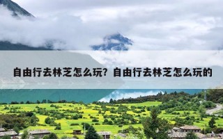 自由行去林芝怎么玩？自由行去林芝怎么玩的
