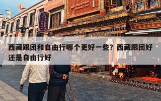 西藏跟团和自由行哪个更好一些？西藏跟团好还是自由行好