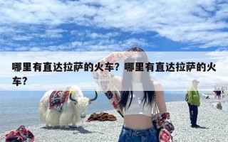 哪里有直达拉萨的火车？哪里有直达拉萨的火车?