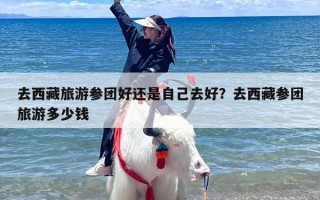 去西藏旅游参团好还是自己去好？去西藏参团旅游多少钱