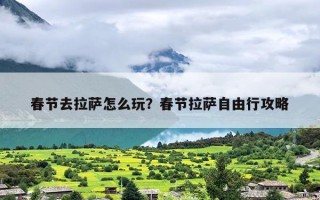 春节去拉萨怎么玩？春节拉萨自由行攻略