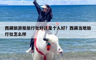 西藏旅游报旅行社好还是个人好？西藏当地旅行社怎么样