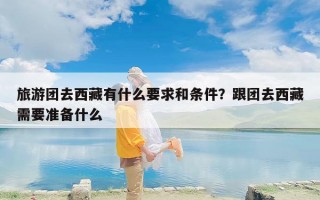 旅游团去西藏有什么要求和条件？跟团去西藏需要准备什么